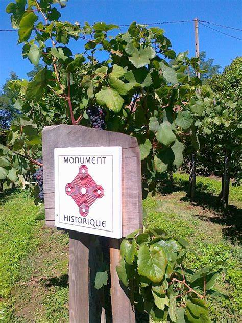 vignes, vignobles, monument