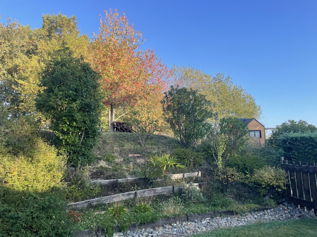 tiny house en automne